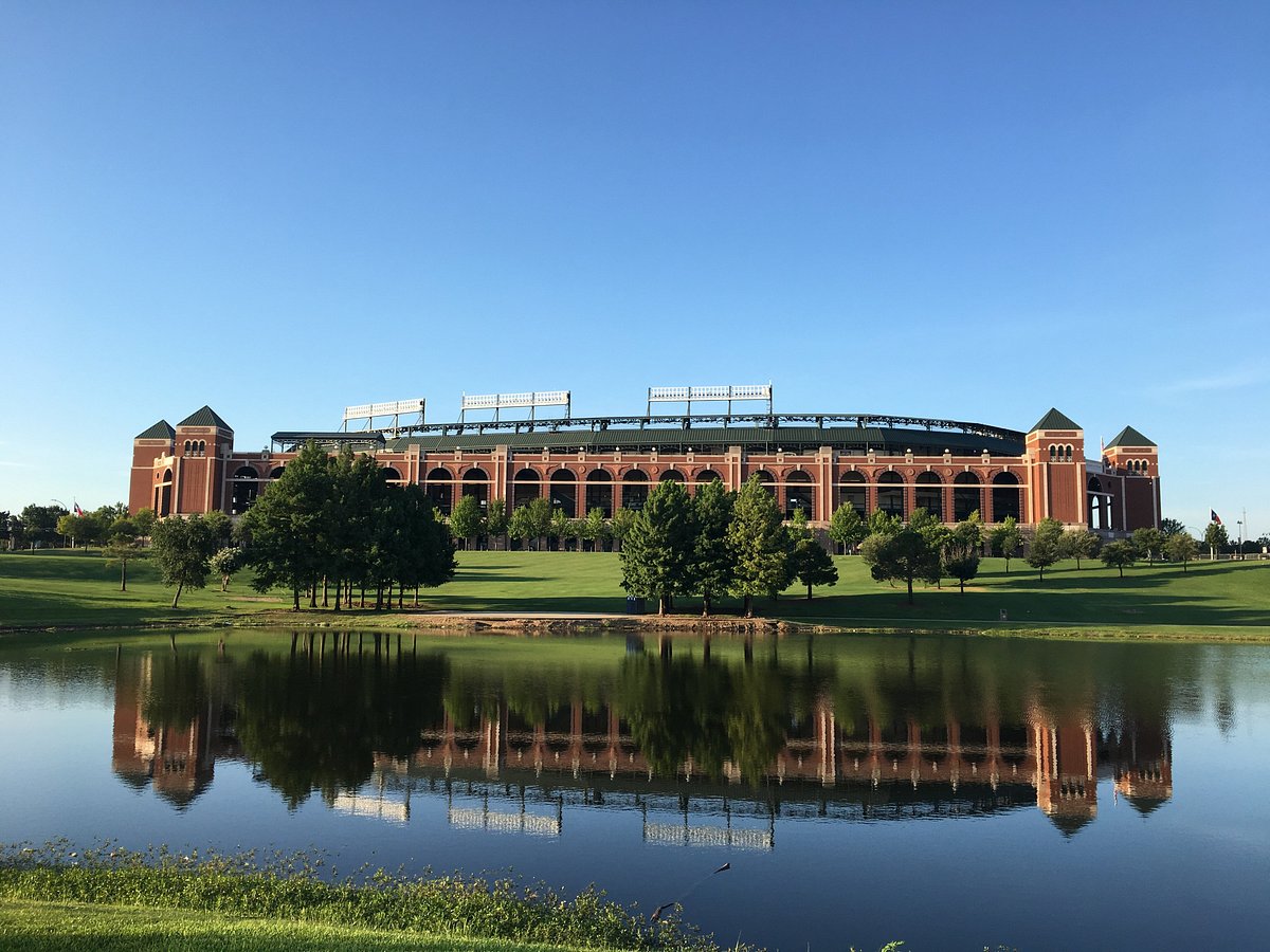 Tree service in Arlington TX