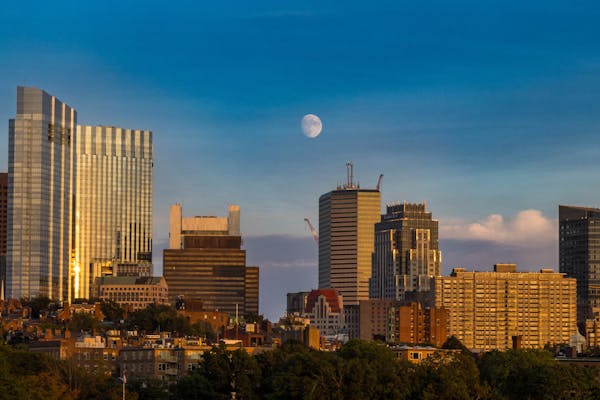 Tree service in Fort Worth TX
