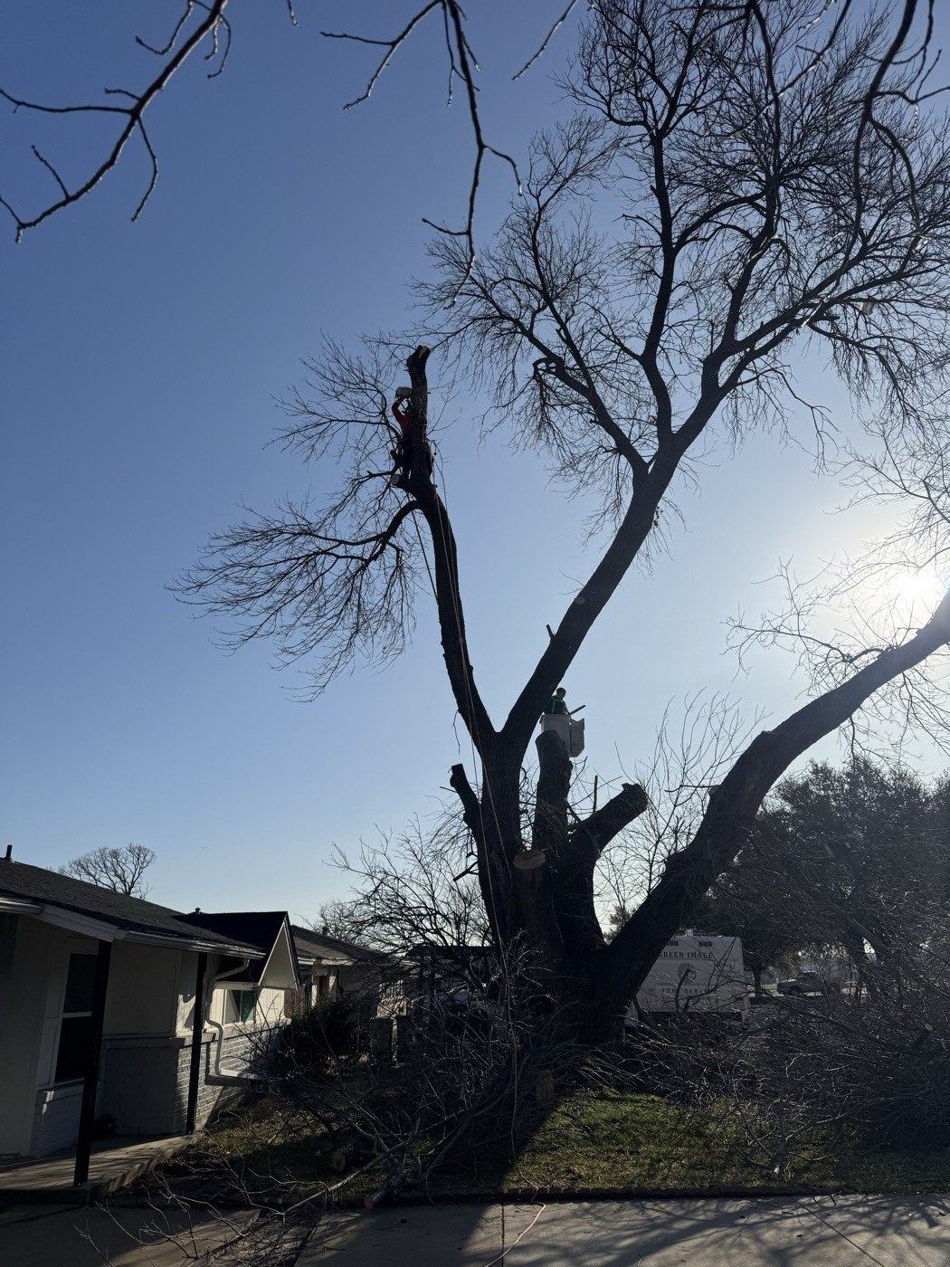 Green Image crew removing a large storm-damaged tree from a DFW home