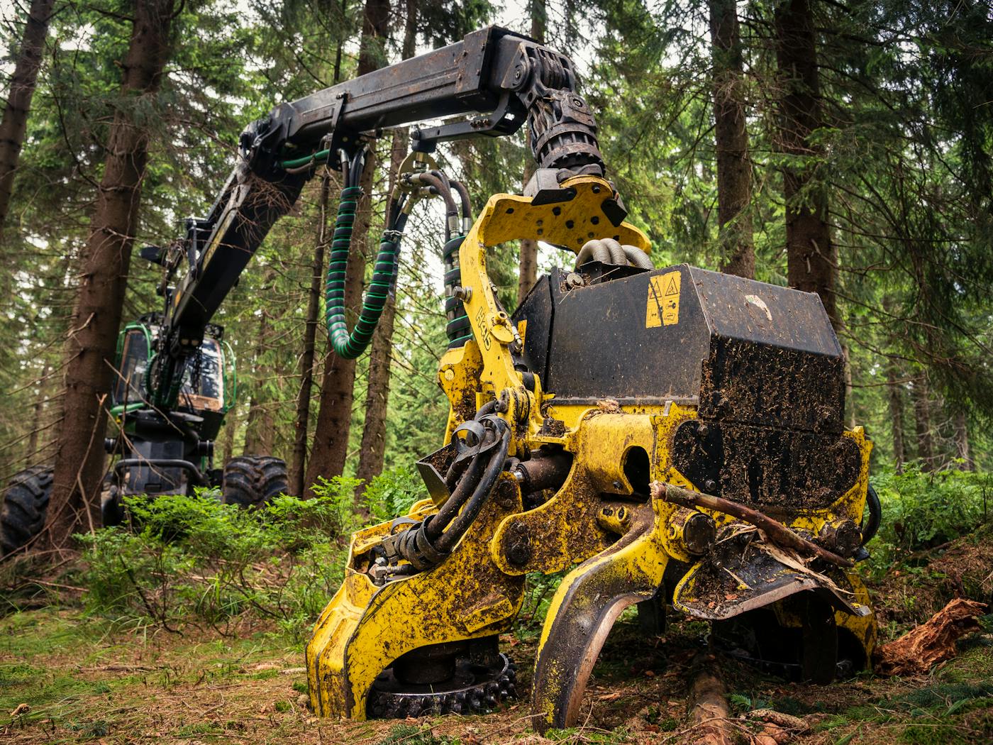 Forestry mulching machine clearing standing brush and small trees