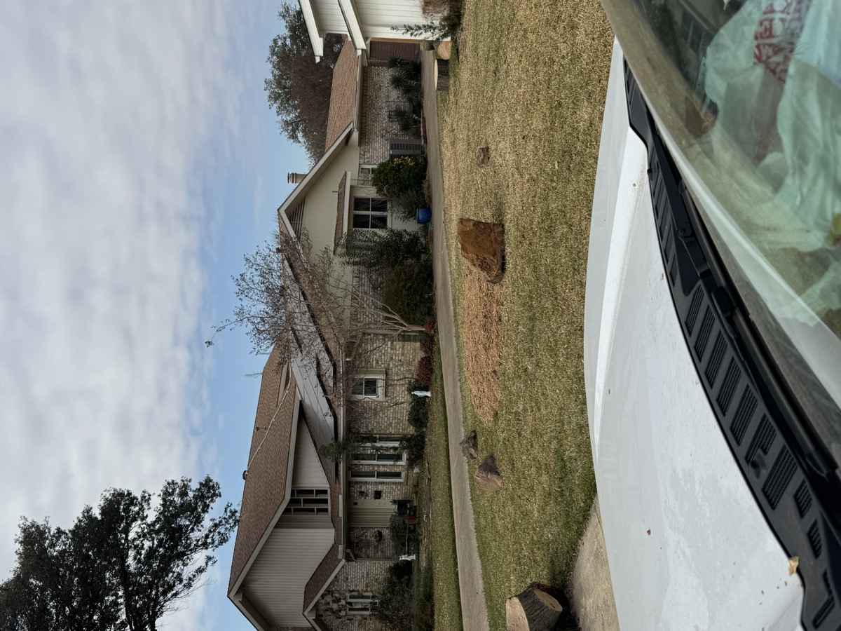 Property cleared after tree removal