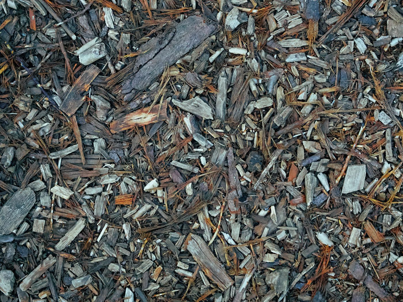Wood chips left behind after a stump is ground below grade