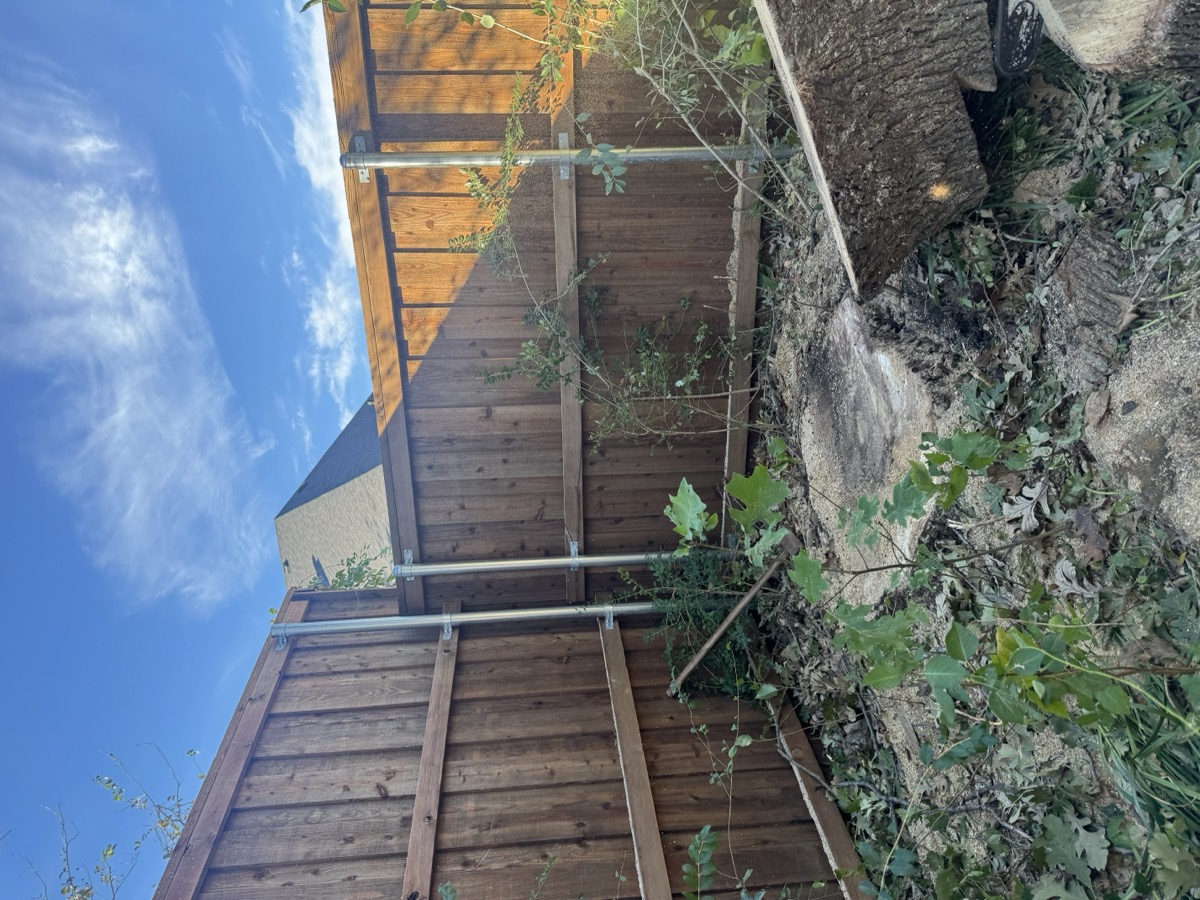 Tree trimmed back from building