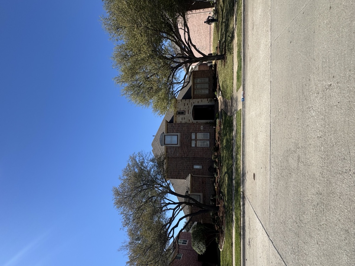 Trees trimmed along residential street